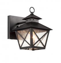 Trans Globe 40170 BK - 1LT-WALL LANTERN-SML- X- SEEDE